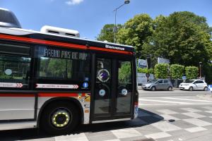 Bus