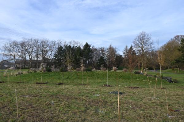 Plantation d'une micro forêt au Parc de Loisirs