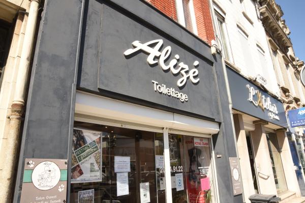 Focus "Alizé Toilettage"