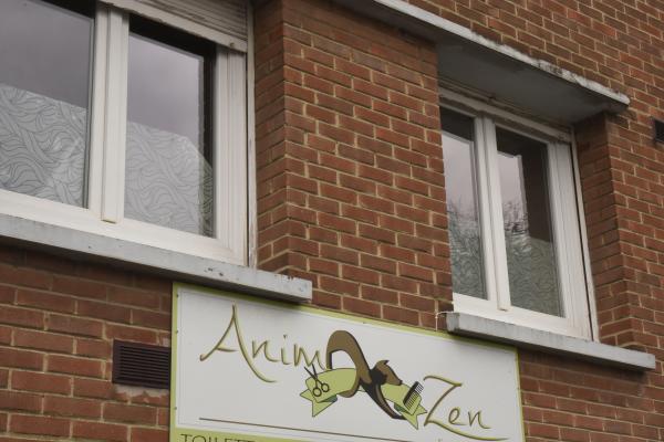 Focus Animozen