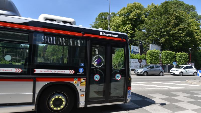 Bus